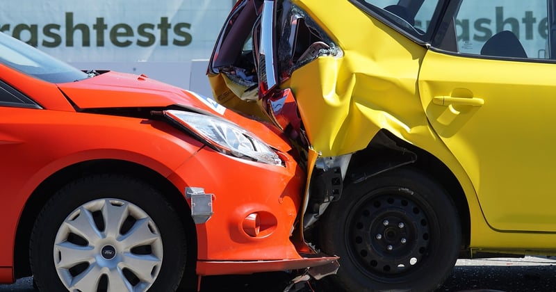 Assurances et responsabilités pour arboriculteurs à Augusta : le guide essentiel