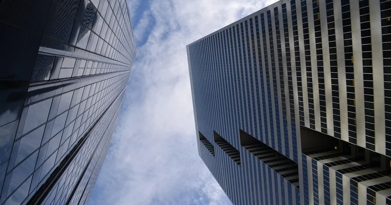 Associer les teintes du bâti et du mobilier aux essences présentes