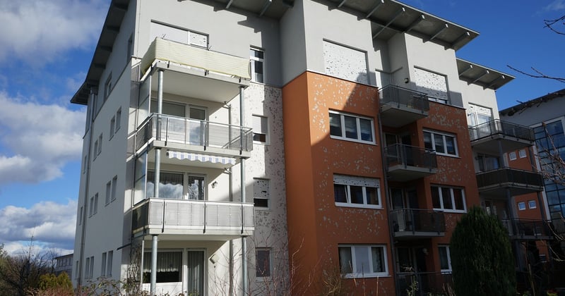 Arbres et assurance habitation : ce qu'il faut savoir pour éviter les mauvaises surprises