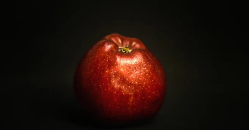 Les variétés anciennes ne sont pas toujours celles des recettes d'aujourd'hui