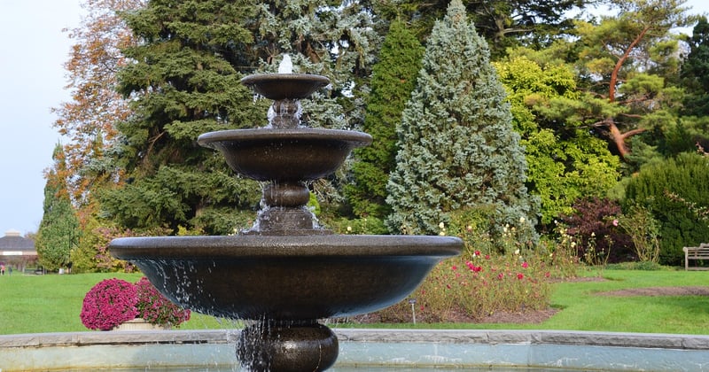 Jardin arboré bien entretenu : la clé d’une valorisation immobilière réussie
