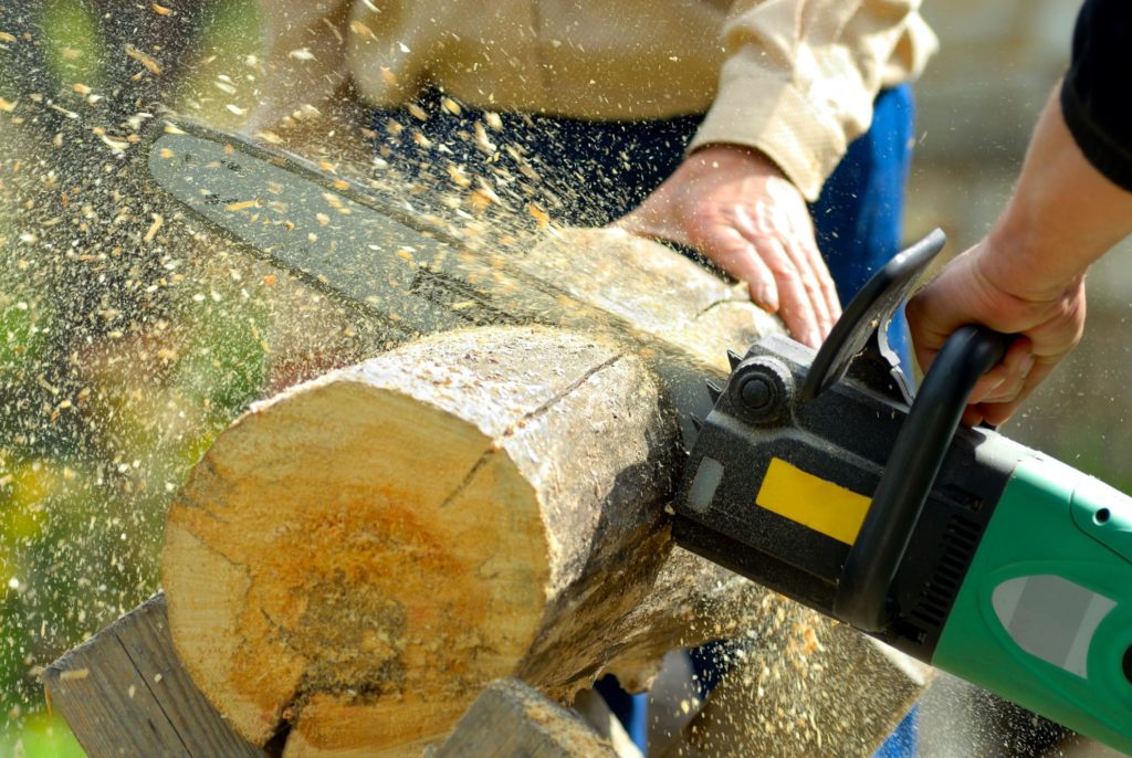 men cutting the tree log